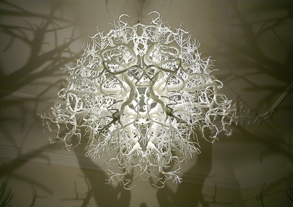 Forms In NatureLight Sculpture