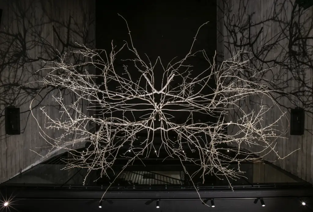 Forms in Nature — Intenso