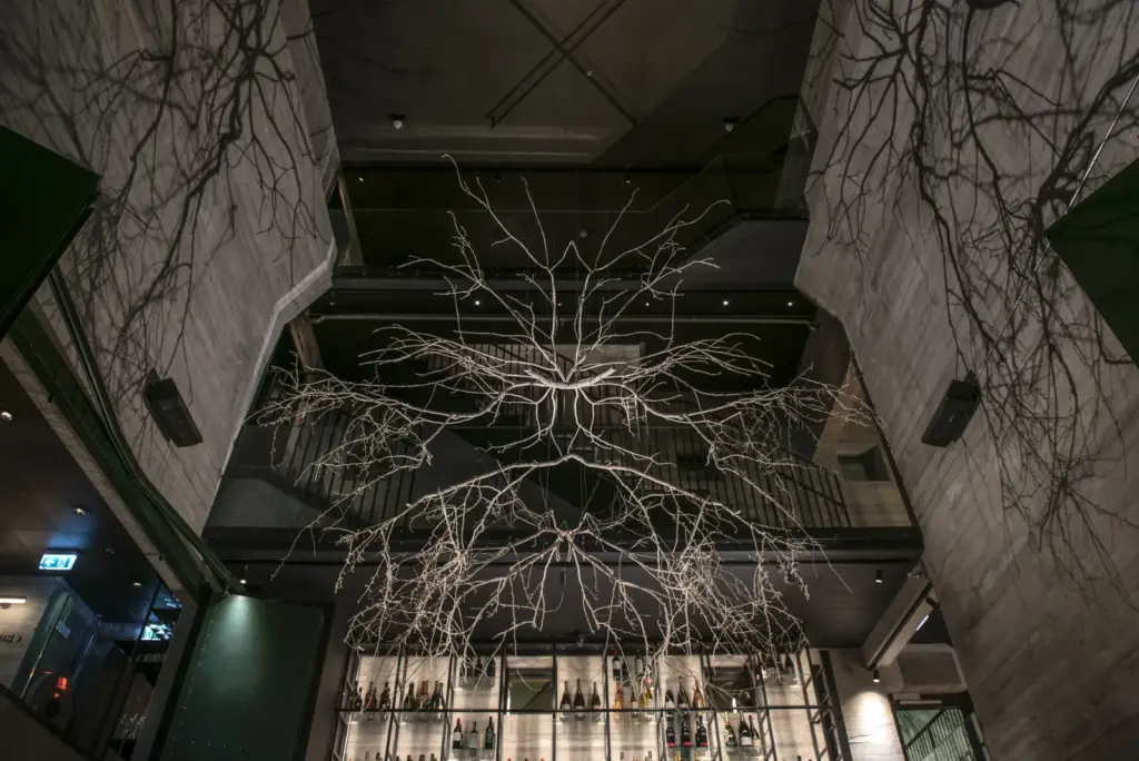 Forms in Nature — Intenso