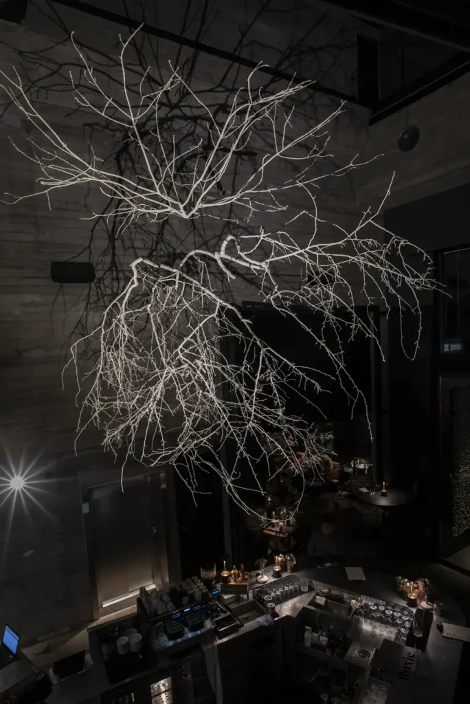 Forms in Nature — Intenso