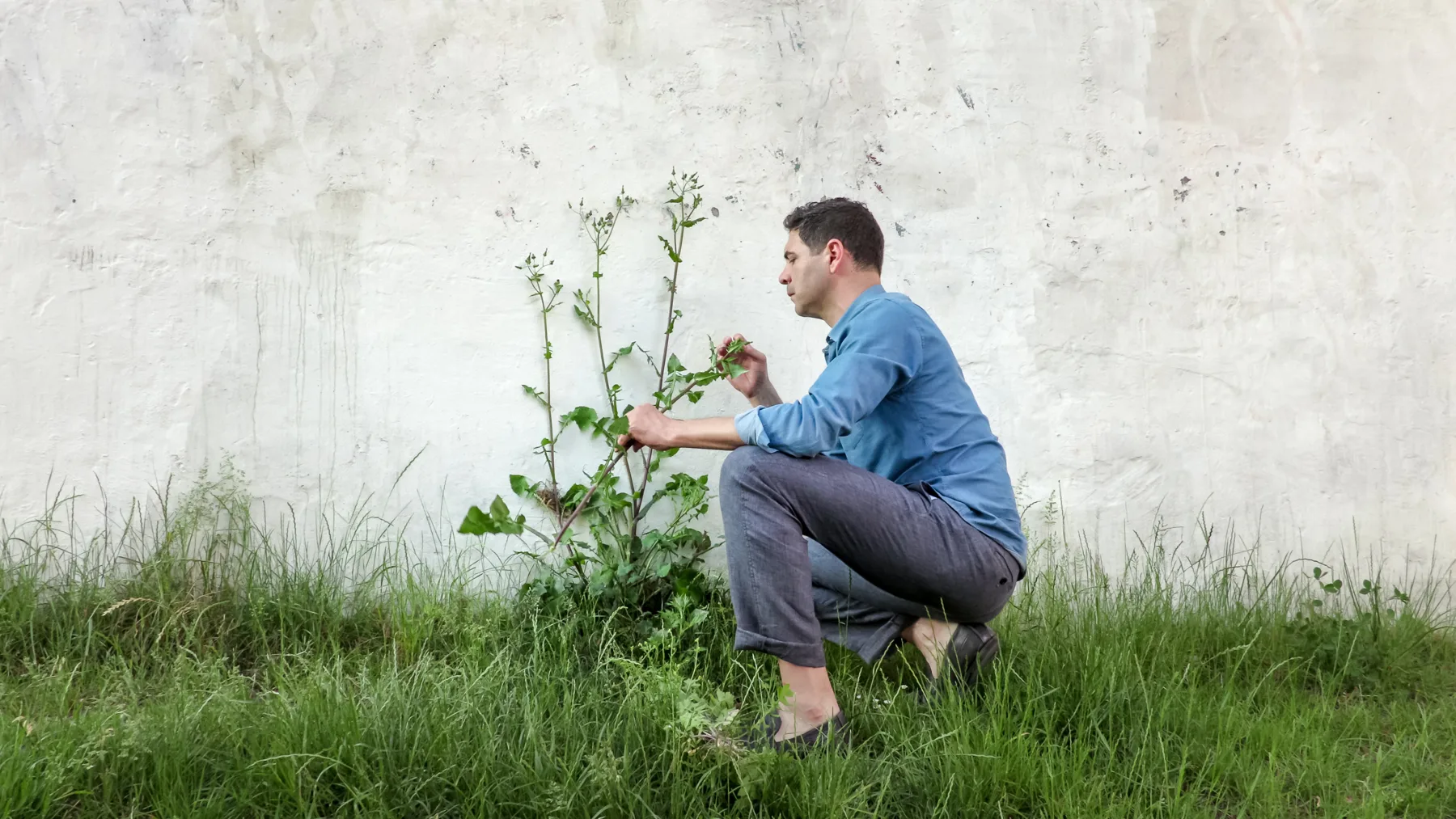 Pío Díaz examining a plant in the field